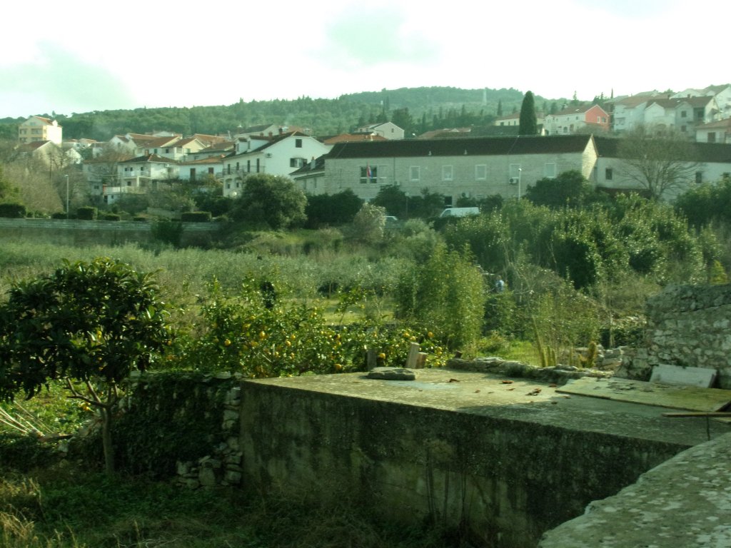 orchard in supetar
